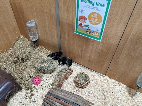 Pets at Home Oldham