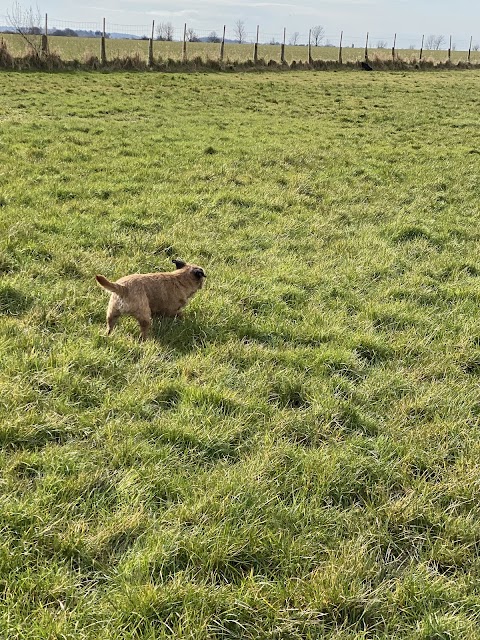 Scarisbrick Dog Walking Field