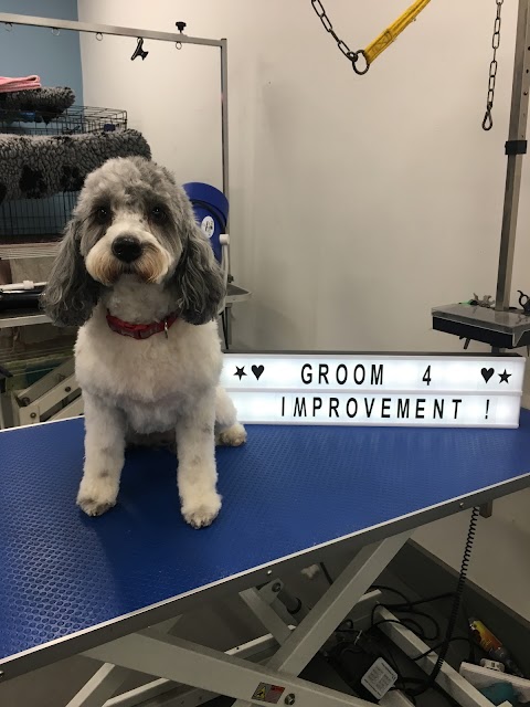 Groom for Improvement