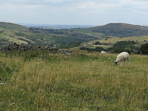 Buxton Caravan and Motorhome Club Campsite