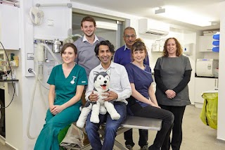 Voo Vets Surbiton Hospital