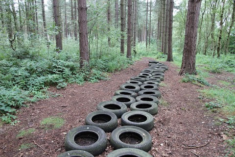 Adrenalin Jungle Activity Centre