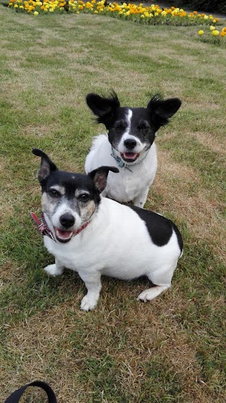 Passey Place Veterinary Surgery