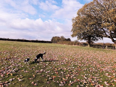 Westcroft Walkies