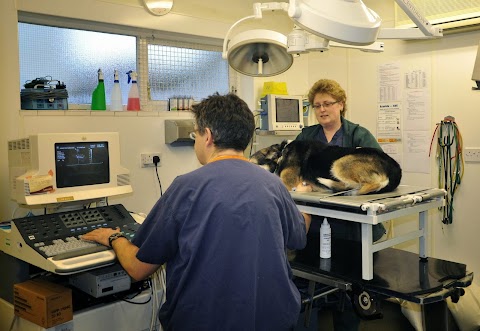 Abington Park Veterinary Surgery