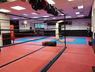 The Kickboxing Academy