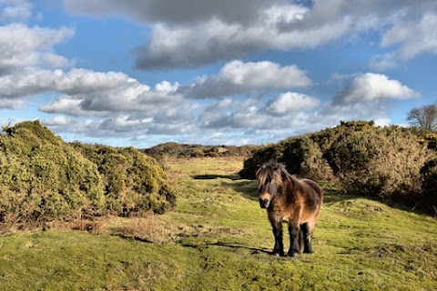 Murlough National Nature Reserve Car Park