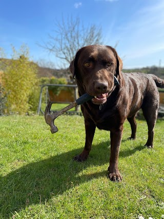 Pentyrch Boarding Kennels