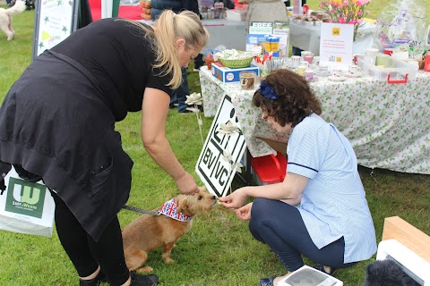 Blackwatervalley Veterinary Centre Ltd