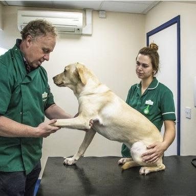 Shepherds' Vet Centre