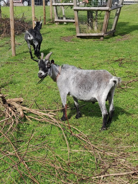 Balsall Heath City Farm