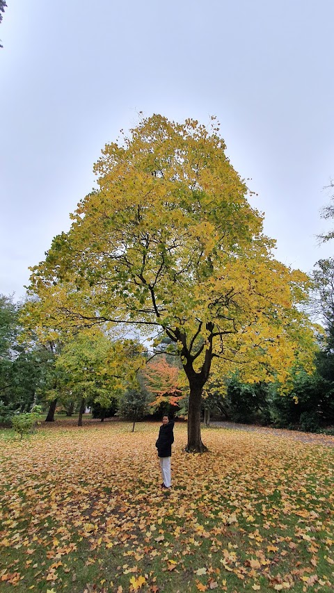 Marie Louise Gardens