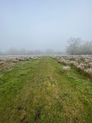 Coley water meadows