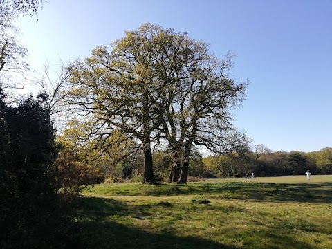 Southampton Common