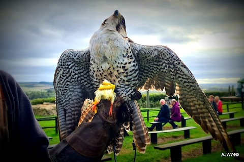 Eagle Heights Wildlife Foundation