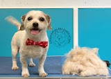 Diamonds In The Ruff Pet Spa - Dog Grooming