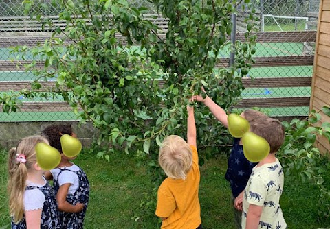 Treetops Nursery