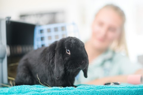 Fenaghy Veterinary Clinic