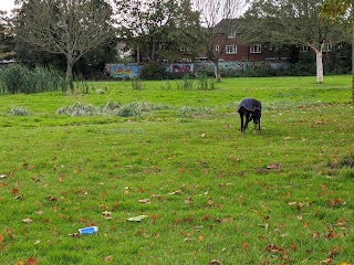 Ainslie Recreation Ground