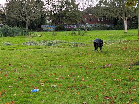 Ainslie Recreation Ground