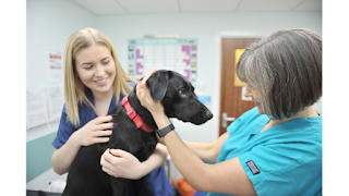 Abbeymoor Veterinary Centres