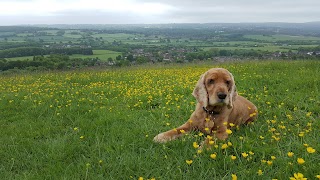 Laurels Veterinary Centre