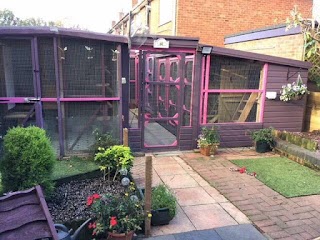 Jemley Boarding Cattery