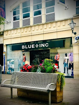 Blue Inc