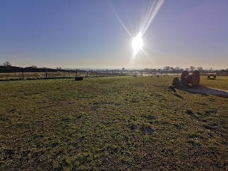 Run Free Dog Fields - Bearsden