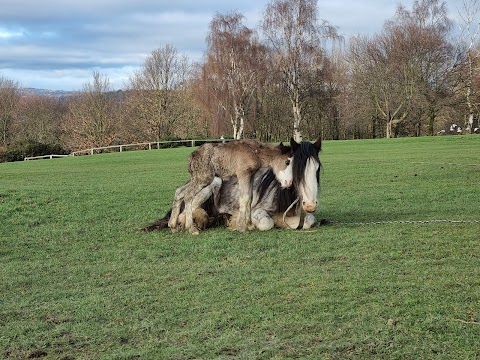 Heath Common