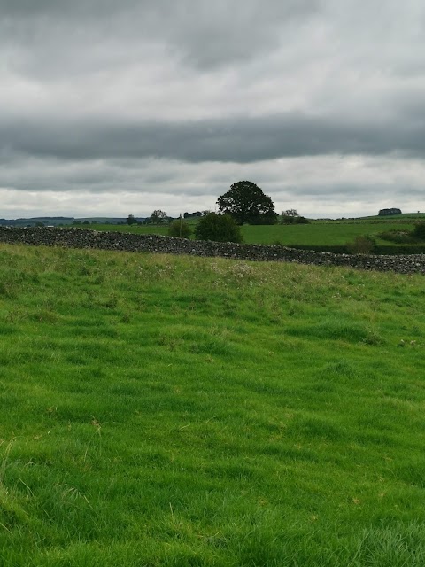 Broadmeadows Farm