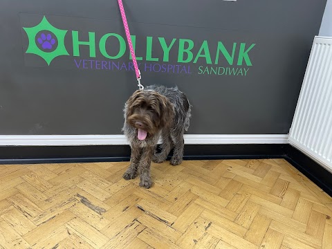Hollybank Veterinary Centre