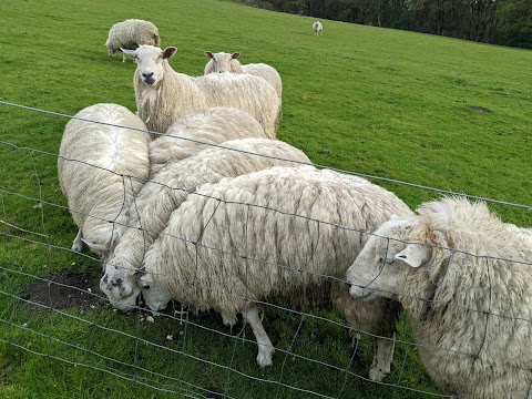 Bings Farm Cottages