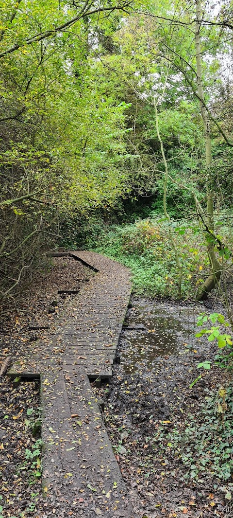 Park Lime Pits Local Nature Reserve