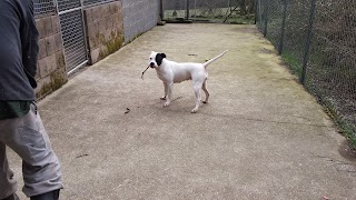 Carr Hall Boarding Kennels & Cattery