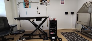 Caversham Dog Grooming