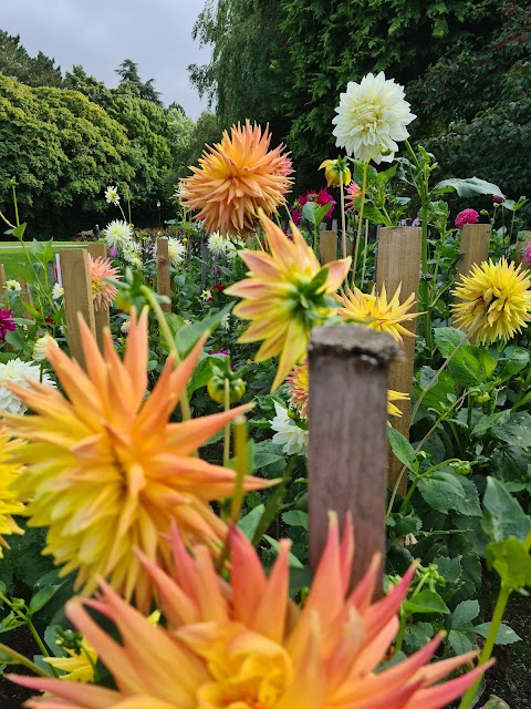 Valley Gardens Harrogate