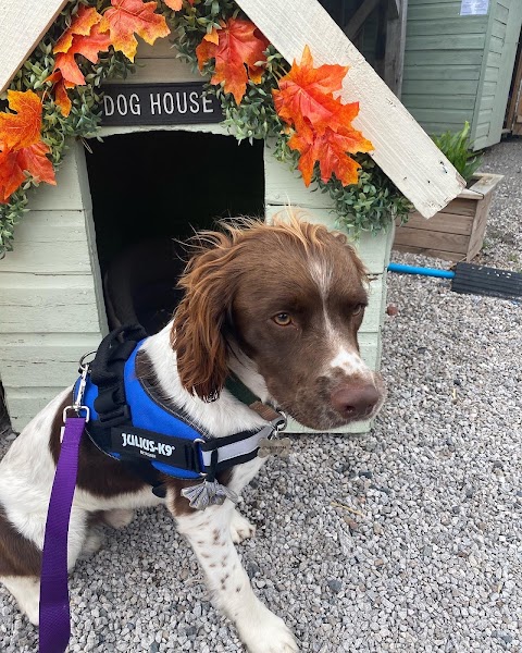 The Dog Barn