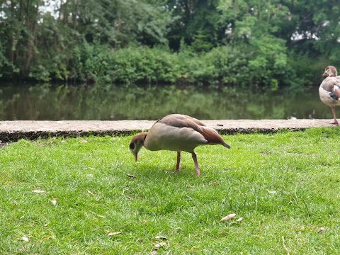 Ravensbury Park