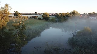 Darwin's Walk Pond