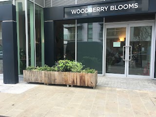 Woodberry Blooms