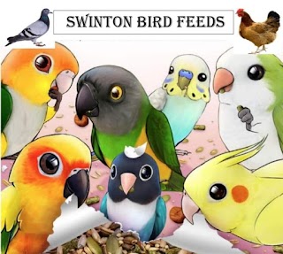 Swinton bird feeds