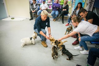 Coastway Vets, Brighton