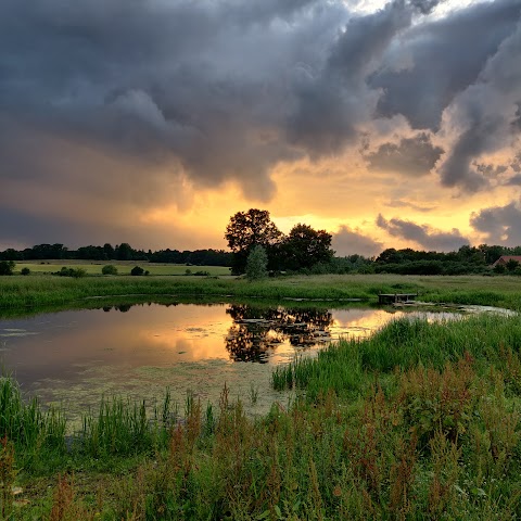 Bowthorpe Southern Park