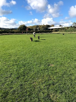 Shanganagh Dog Park