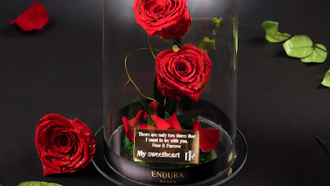 Endura Roses