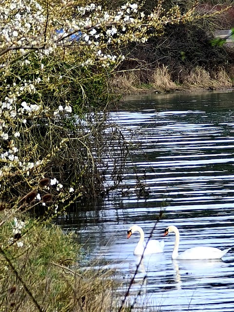 Broadmarsh Coastal Park