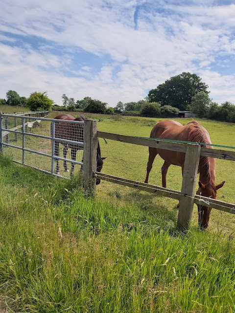 Scott Dunn's Equine Clinic