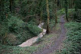 Elmers Clough