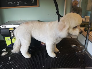 Trim and Tonic Dog Grooming